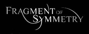 logo Fragment Of Symmetry